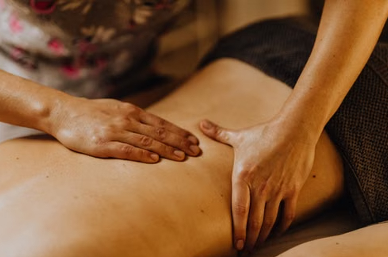 The main professionals that provide therapeutic